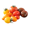 MEDLEY GRAPE TOMATOES [1.5 ea]