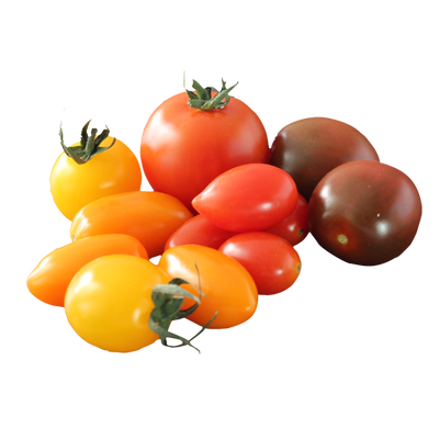 MEDLEY GRAPE TOMATOES [1.5 ea]