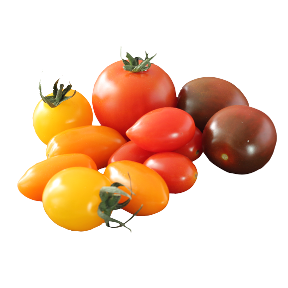 MEDLEY GRAPE TOMATOES [1.5 ea]