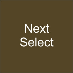 NEXT GOLD KS 20 [1 ea]