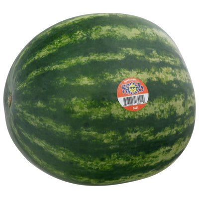 Sol Mini Watermelon