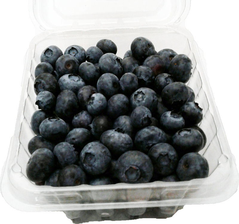 Blueberry, 1 ct