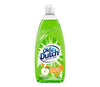 OLD DUTCH GR APPLE DISH SOAP [740 ml]