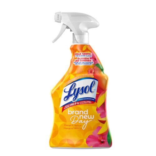 LYSOL MANGO TRIGGER CLEANER [650 ml]