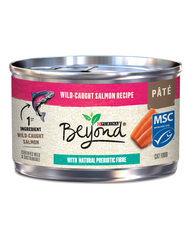 BEYOND SALMON [85 g]