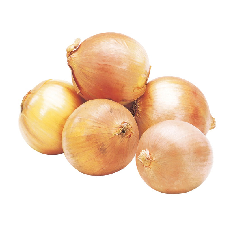 10LB COOKING ONIONS [1 ea]