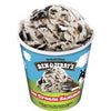 BEN AND JERRys ICE CREAM SAMM [473 ml]