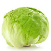ICEBURG LETTUCE [1 ea]