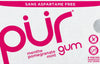 PUR GUM POMEGRANATE [9 pcs]