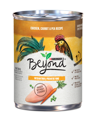 PURINA BEYOND CHICKEN GRAIN FE [368 g]