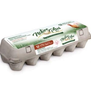 NATURE PLUS LARGE BROWN EGGS [12 pkg]