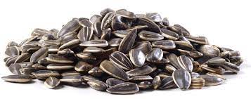 CENTRAL SALTED SUNFLOWER SEEDS [250 g]