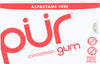 PUR GUM CINNAMON [1 ea]