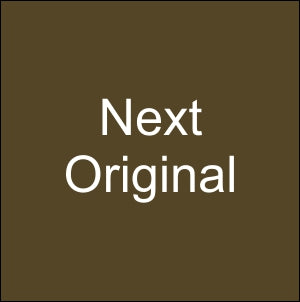 NEXT BLUE KS 20 [1 ea]