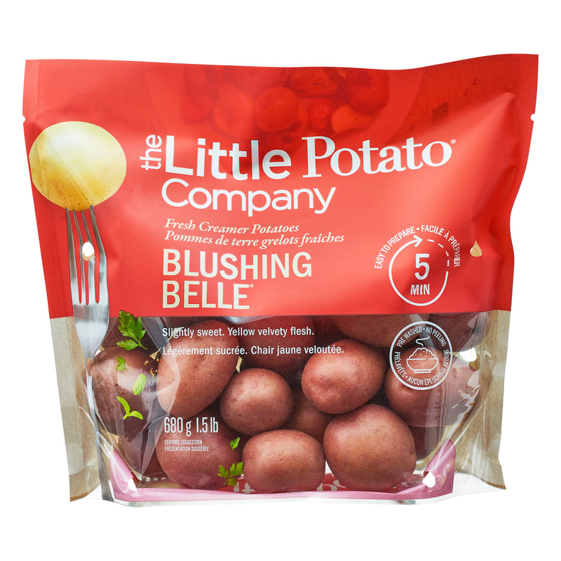 BLUSHING BELLE MINI RED POTATO [1 ea]