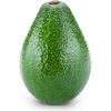 AVOCADOES PKG 6 [6 pcs]